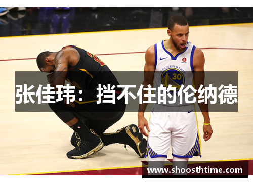 张佳玮：挡不住的伦纳德